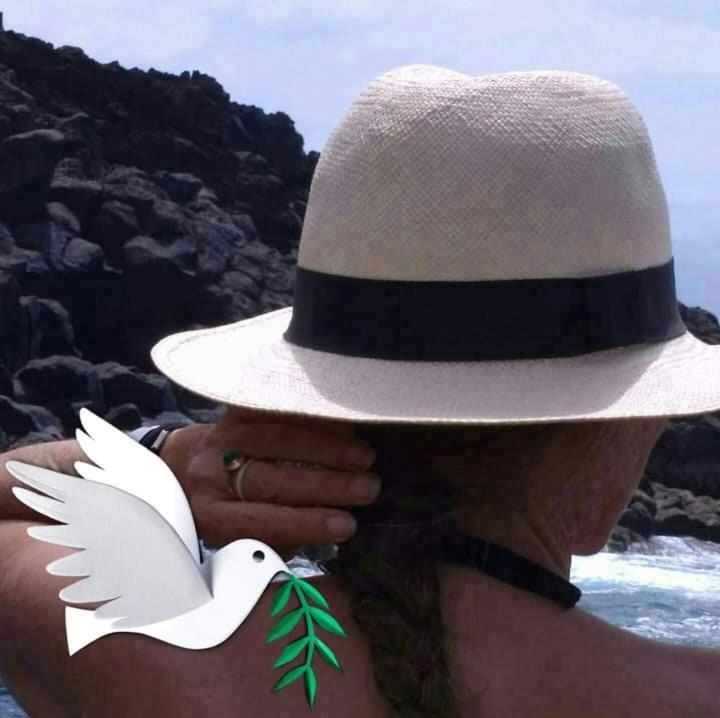 Atlantico Lägenhet Puerto de la Cruz  Exteriör bild